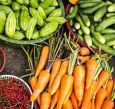 Cenouras e outros legumes frescos